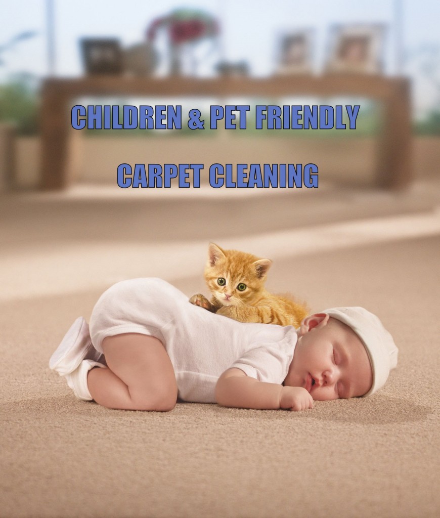 Pet Save Carpet Cleaning