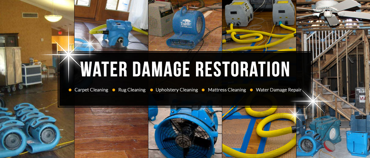 Waterloo Water Damage Restoration Services