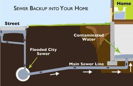 sewer backup Kitchener-Waterloo